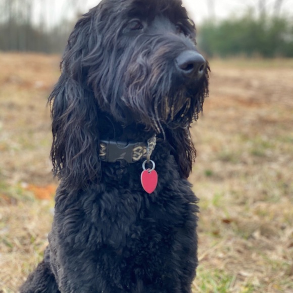 Meet your Posher, Julie - Picture 1 of 1